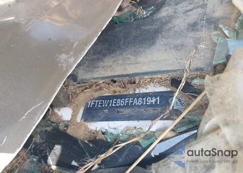 2015 Ford F-150 Xlt from USA, damaged, VIN 1FTEW1E86FFA81911